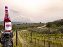 Cerasuolo d'Abruzzo D.O.C. 2020 natura